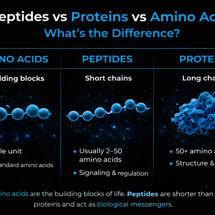 Peptides vs Proteins vs Amino Acids: What’s the Difference?